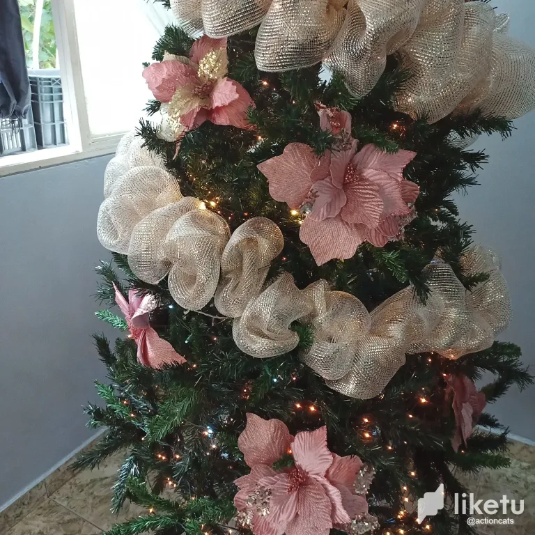 clSeBttu5ACwKJiL_thumbnail_IMG_20241117_154105_017.webp
