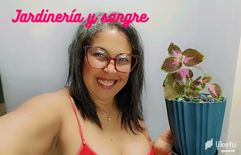 cll0bwnyk000o5gszdwcr6t7i_Jardineria_y_Sangre.webp