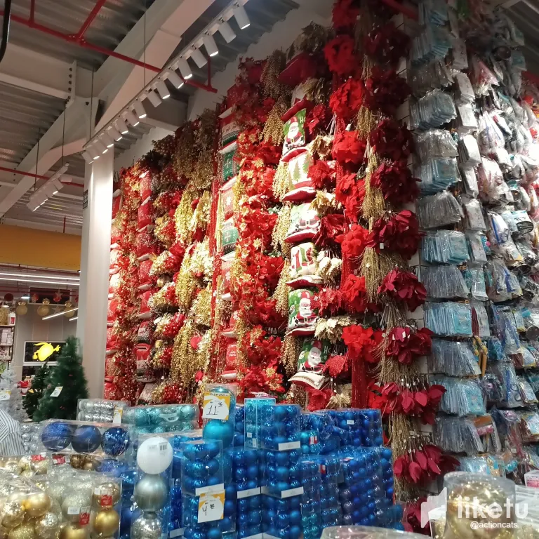 clmlfy2ml02k3ajsz06rqha7a_thumbnail_IMG_20230915_185114_538.webp