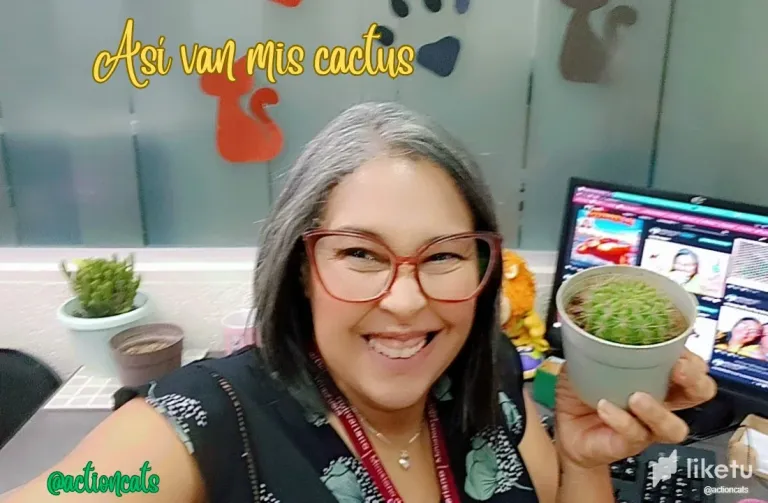 clmvfz0fq03nc64sz7uqrh3u2_As_van_mis_cactus.webp