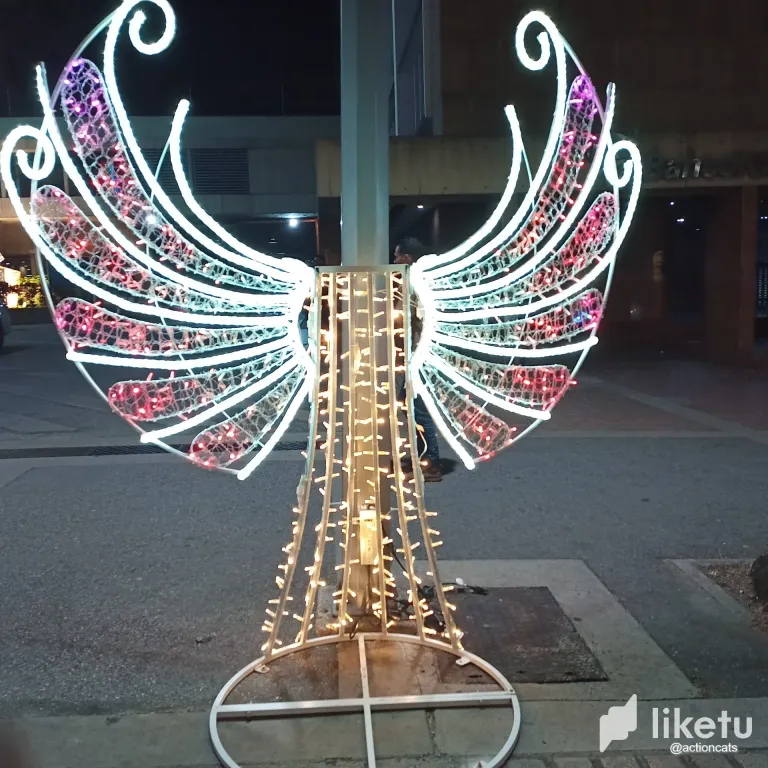 clpdjuxtt02chd7sz8ne49xkd_thumbnail_IMG_20231124_191555_415.webp
