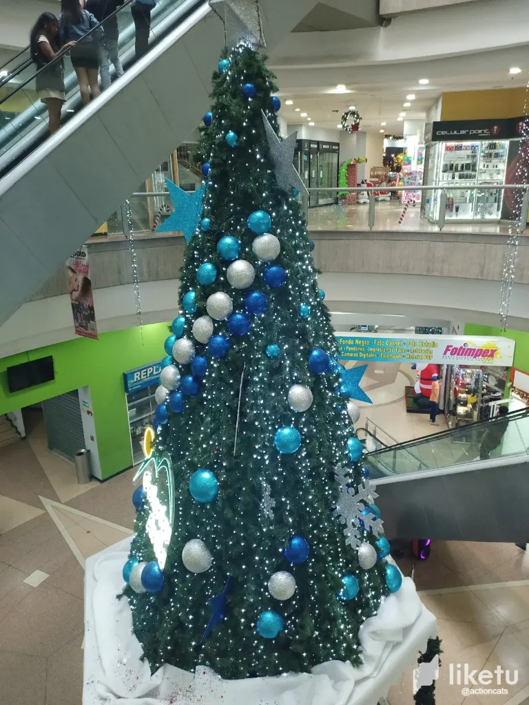 clqbtk6o000295bszapx838q0_thumbnail_IMG_20231218_163144_457.webp