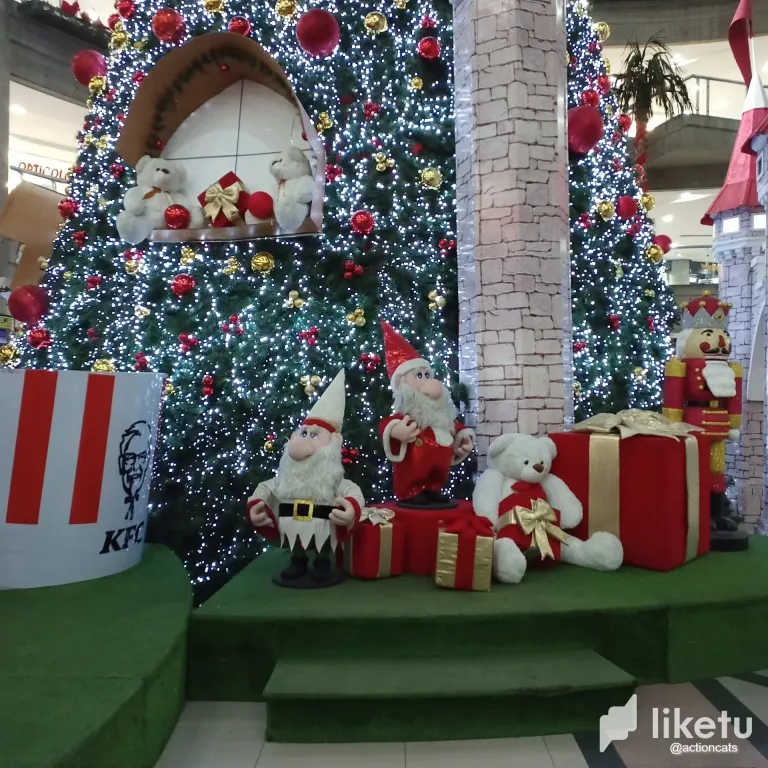 clqn7z7sk00li5qsz4j7sdepy_thumbnail_IMG_20231226_193151_332.webp