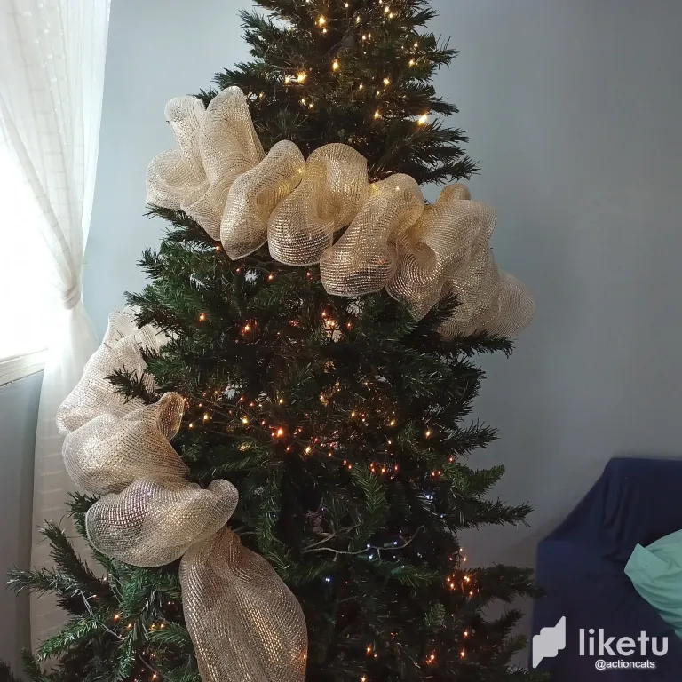 sWxbWtyHugPUImX0_thumbnail_IMG_20241117_145735_673.webp