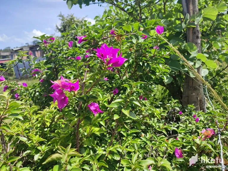 cllic79wx016935szgvthhzyq_1692462670347.webp