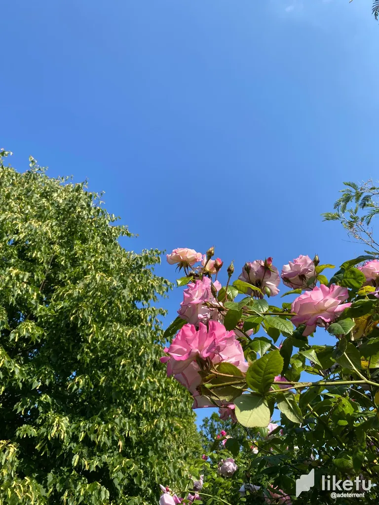 cliusivym00c20pszact2g6y3_IMG_0728.webp