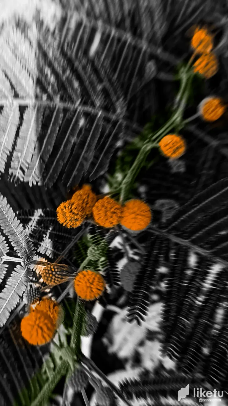 clwr7g0rp008s3tszhrmx5uwe_Coloreada_1.webp