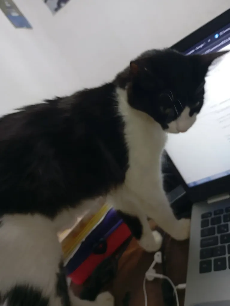 PsPFf5f0viilyZC9_1000693012.webp