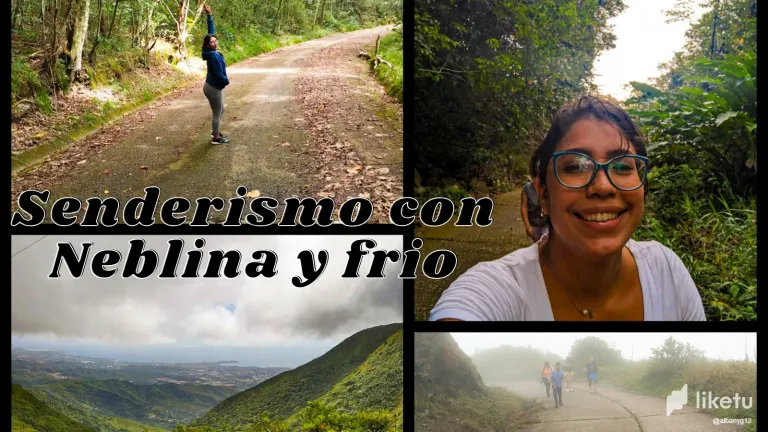 clvbqnbfq002q7gszev3ja7qc_Copia_de_Copia_de_Post_de_Twitter_Curso_Jardinera.webp