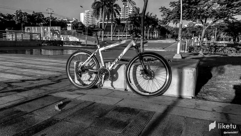 clcumjsj300fw8usz4rsebe7s_bici-parque.webp