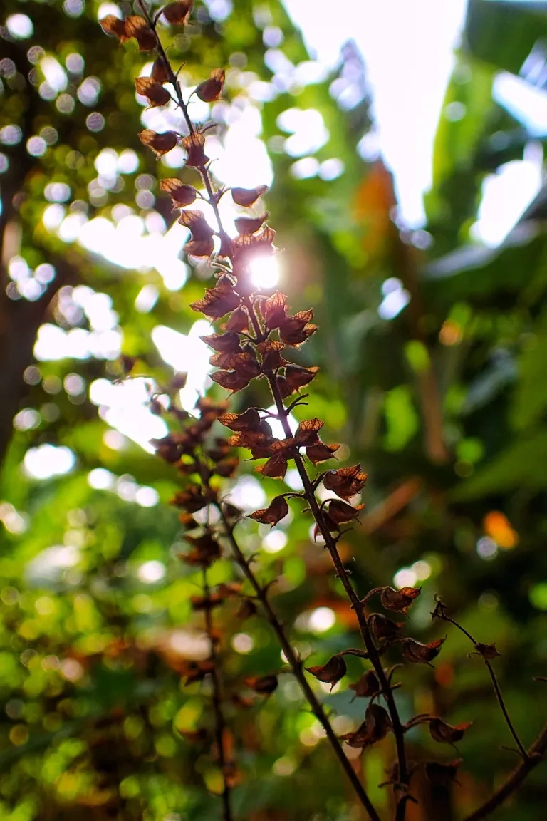 ErioPH7KPN82HcCM_PA060006_1-01.webp