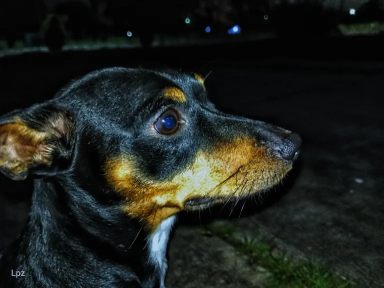 i9Jxx6TvbgnyN5KN_IMG_20240831_185228_830-01.webp