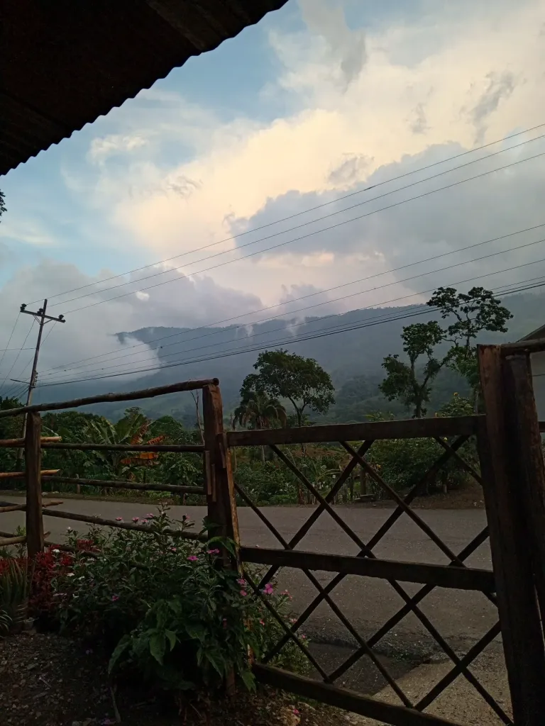 IduDVFsKSEOWDrDF_IMG_20250510_184911_021.webp