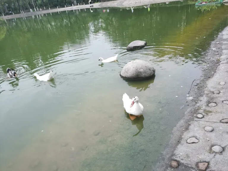 5qSaZKdzLmMtOHjV_g3.webp