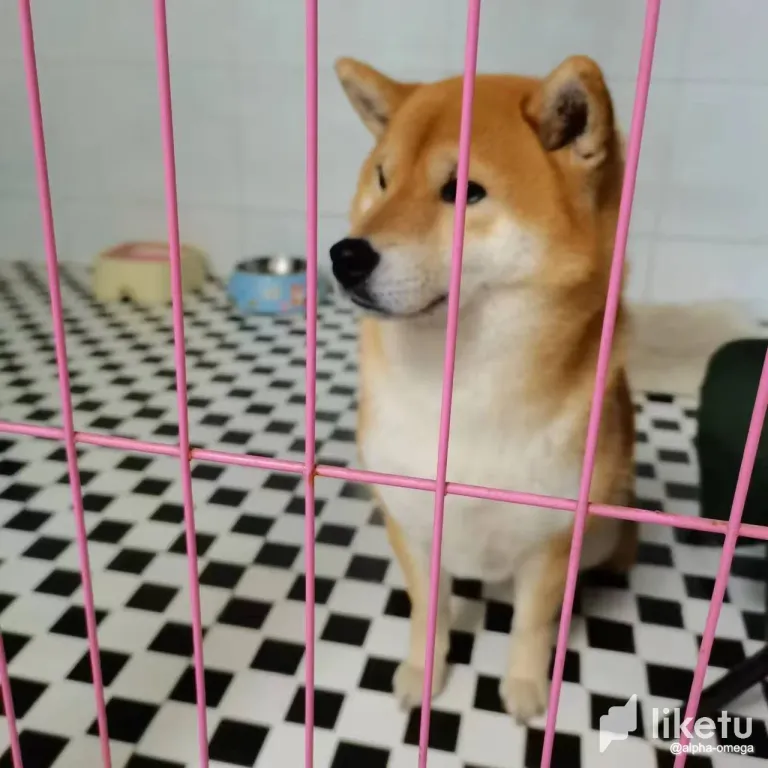 clsj8dwwq003ghesz1lsybl5s_t1.webp
