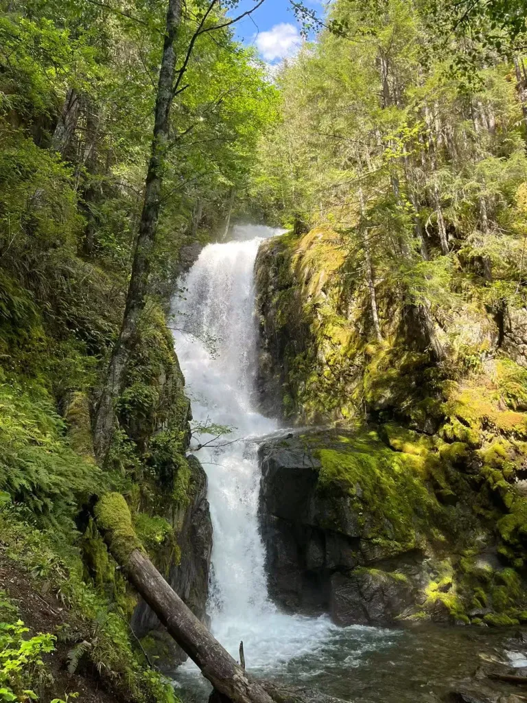 ySTIHC53oHSQ5ADu_c1.webp