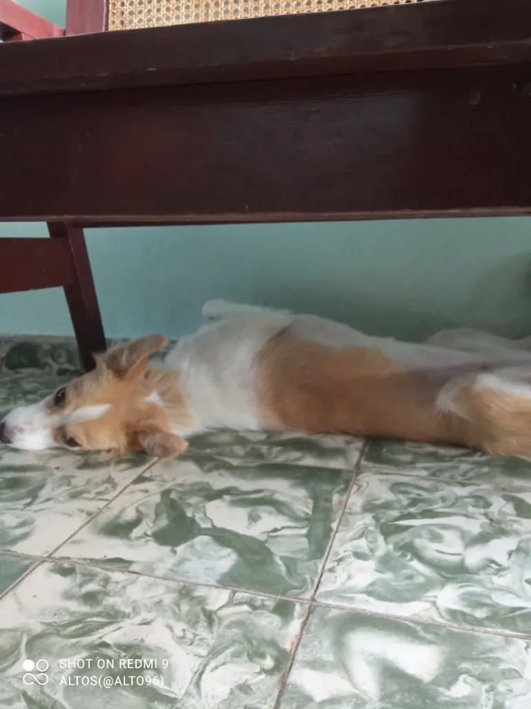 j0GdnfXpNDlVmjBR_IMG_20250728_113249.webp