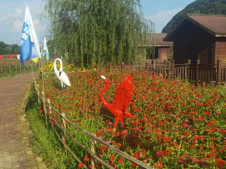 4YcwjhBeQAeVRtOO_IMG_20250728_173838.webp