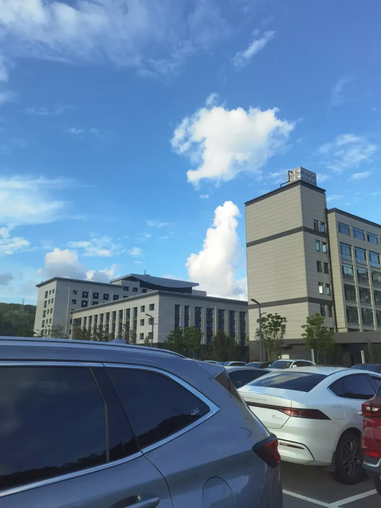 g7hLo4eRbgBkwUX8_IMG_20250726_140753.webp