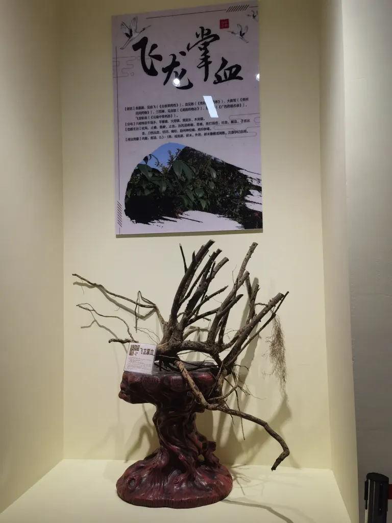 gjGjWqNCcL2qsAJh_IMG_20250630_084629.webp