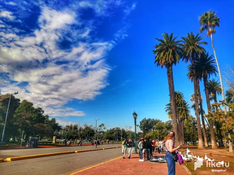 2DYtwf6G2EDXVz0L_photo_2025-04-18_21-46-22.webp