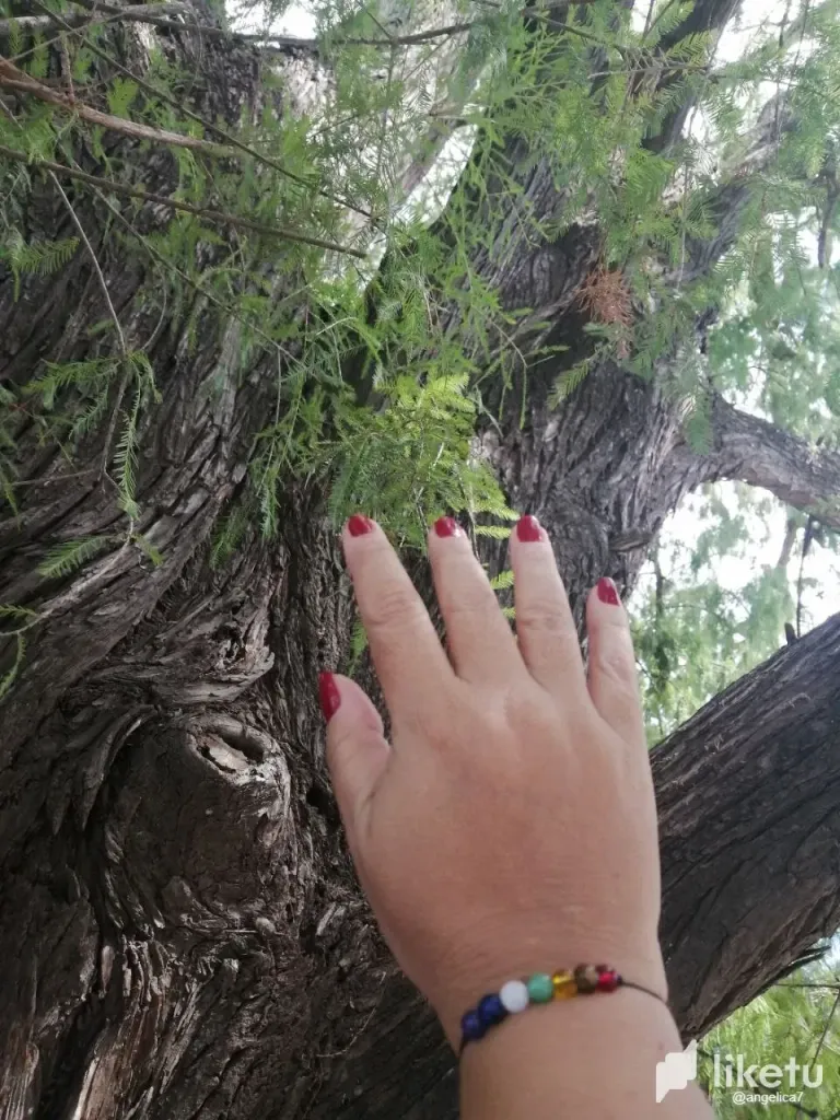 IaKFvqSKXyUxf0yY_photo_2025-02-24_00-51-17.webp