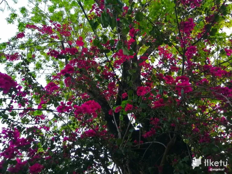 clogkxoji002x4oszfxfpe09n_photo_2023-11-01_23-11-13_-_copia.webp