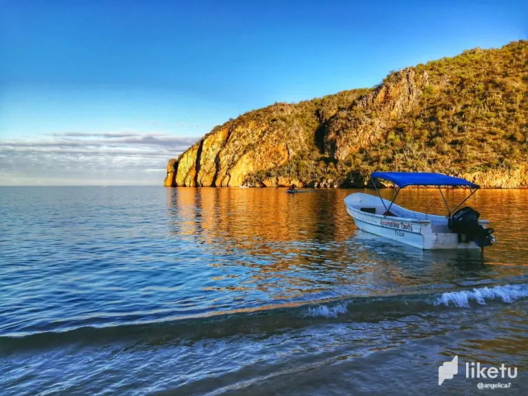uosuTutJwbDsL1Yq_photo_2024-12-15_14-18-09.webp