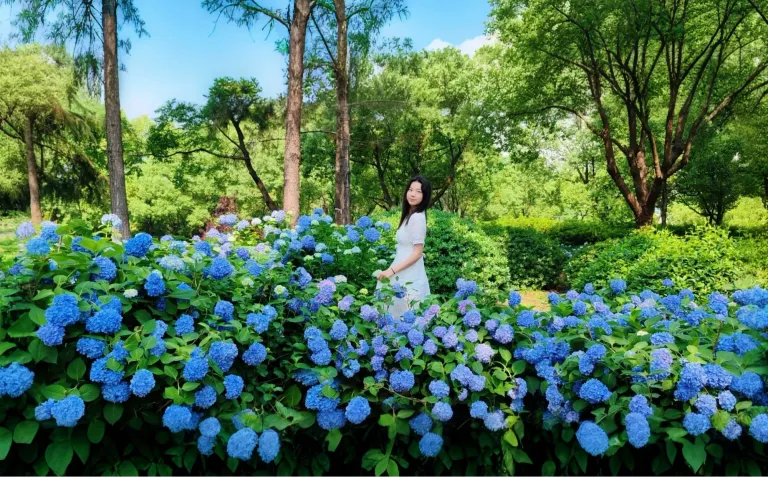 FJzDjkedx5q1fDml_MEITU_20250524_134502122.webp