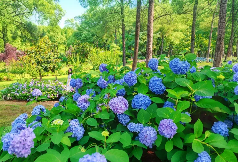 lUZBjPeYDfoJL0af_MEITU_20250524_155848706.webp