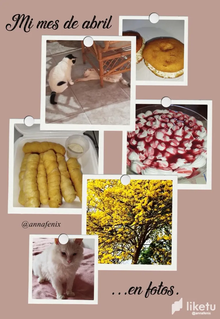 LGHmwbMmVSubo2FS_1.webp