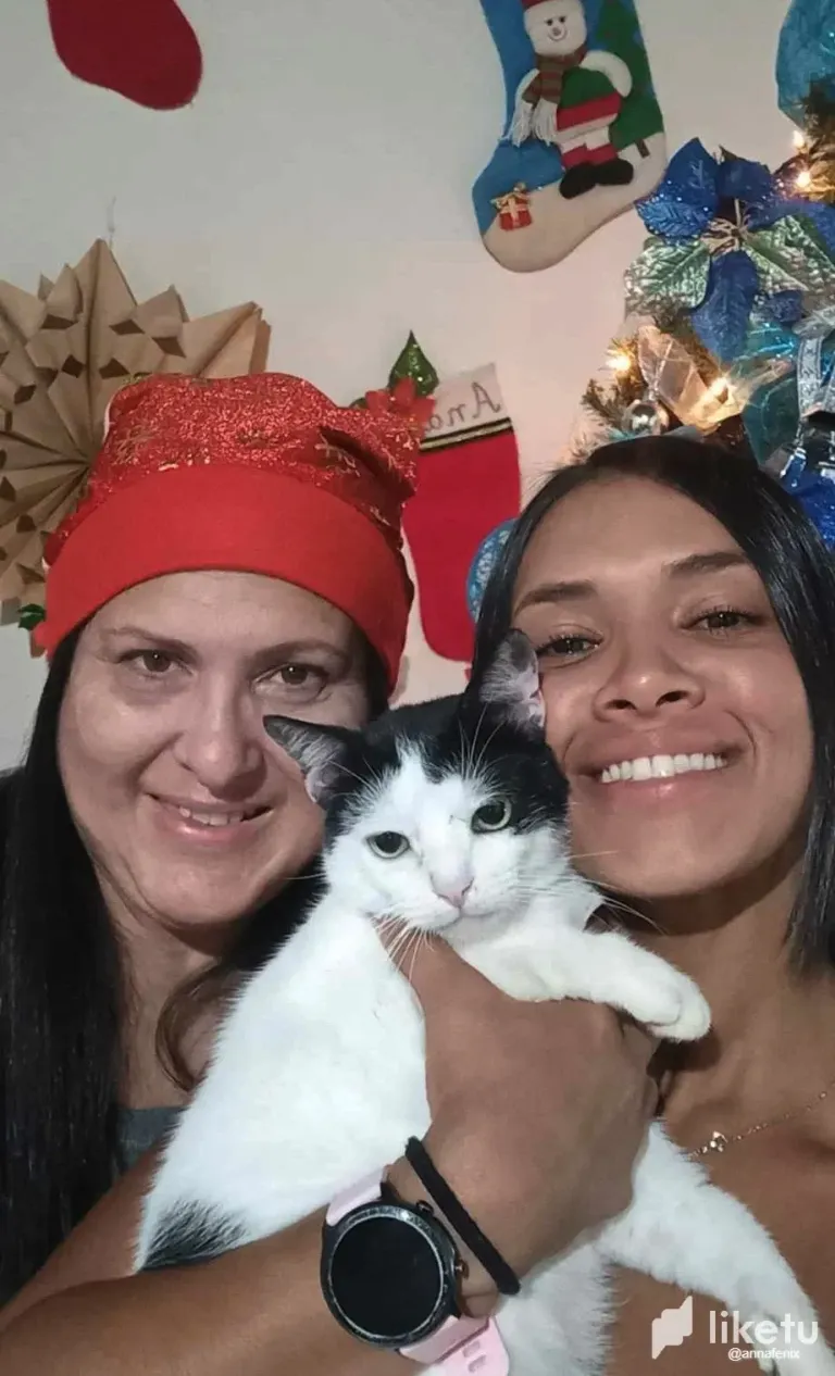 gohKtDTXyHmuGvgs_462566329_3650135165278658_3874633553384204820_n.webp