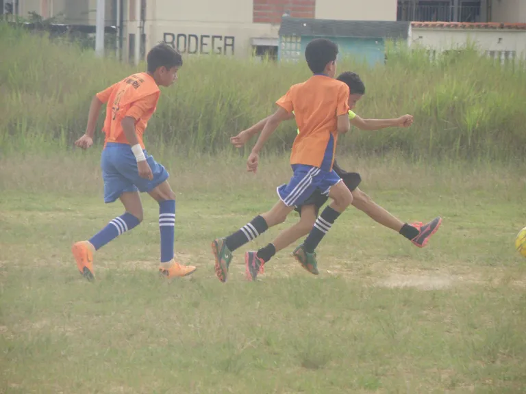 cl9cuo7vo02l30vkcb018e9pr_P1010061.webp
