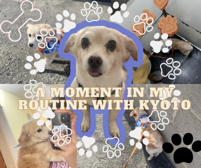 k2lYsb1VPnsBsU2M_VIAJE_con_amigos.png