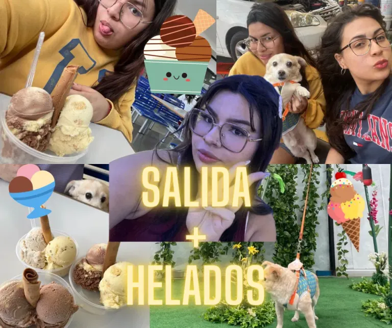 syzNlKmEMNCkUaQt_VIAJE_con_amigos.png