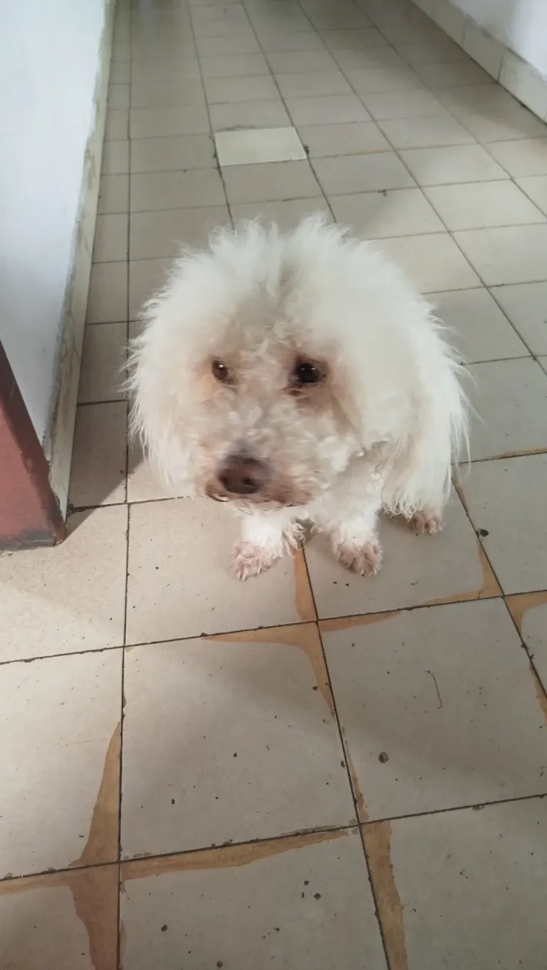 14dOL2LOgLmxACF2_1000197446.webp