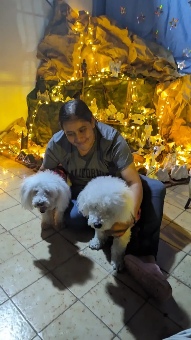 F92KmGHFs8sIyLqy_1000098490.webp