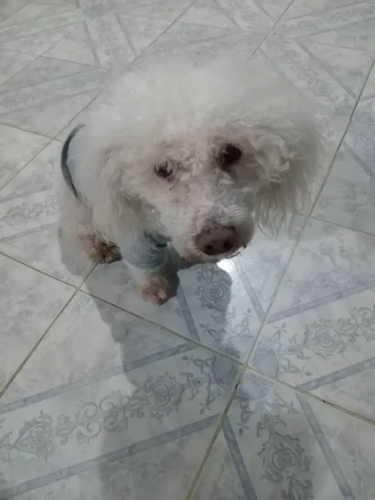 L58VvtynJMT15raQ_1000130983.webp
