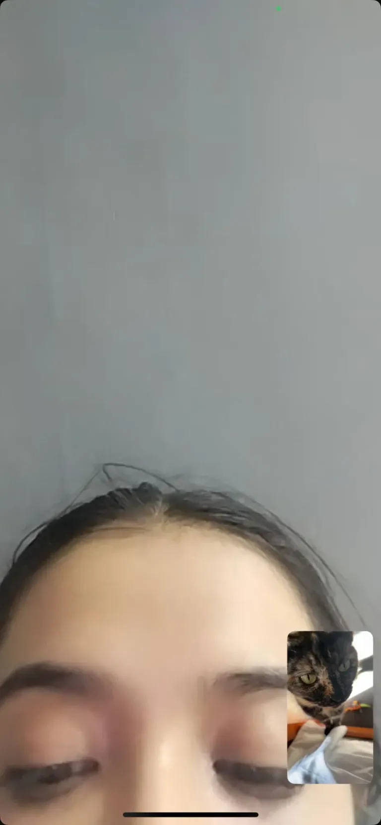 RPZSUbZeksaEbPQD_1000171856.webp