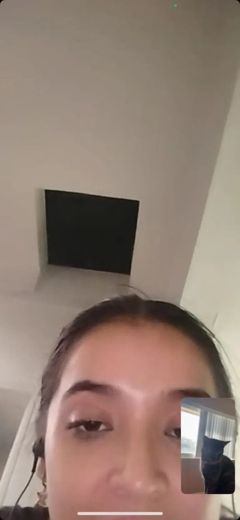 xkX31qysZJEgvKmf_1000171848.webp