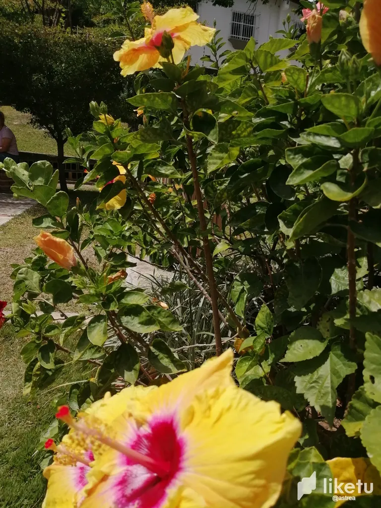 clkrk4tv400xl5ssz64f232z5_IMG_20190303_131117.webp