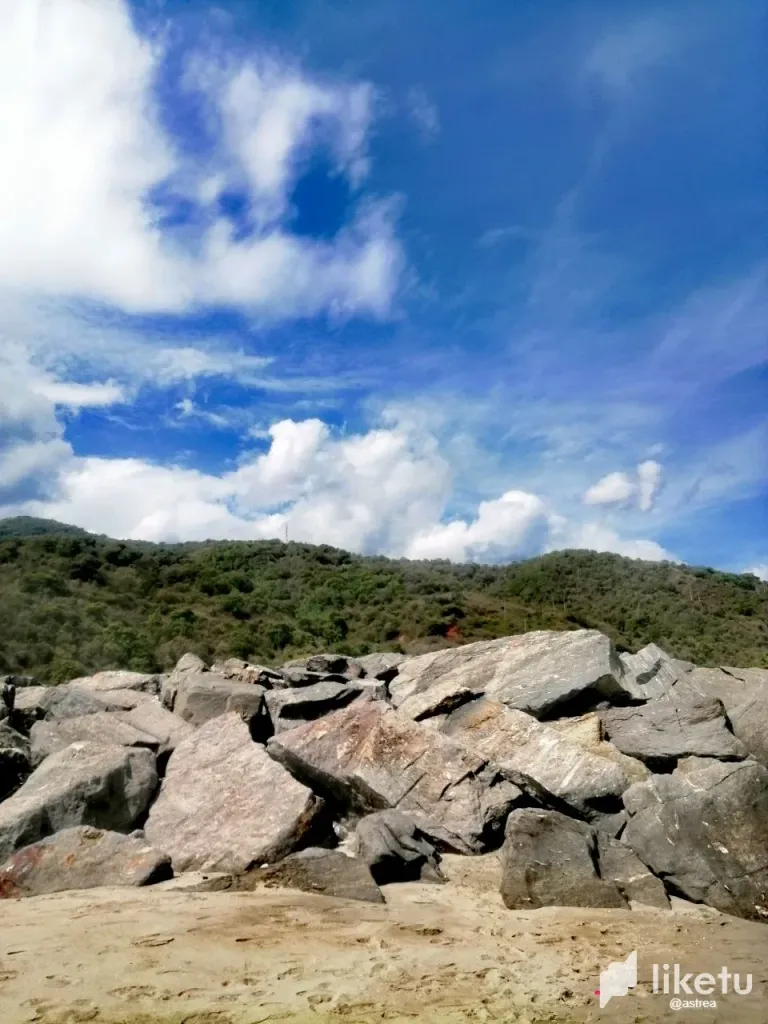 cllpaboro00lq15sz5ws21l6x_photo1692884728_1.webp