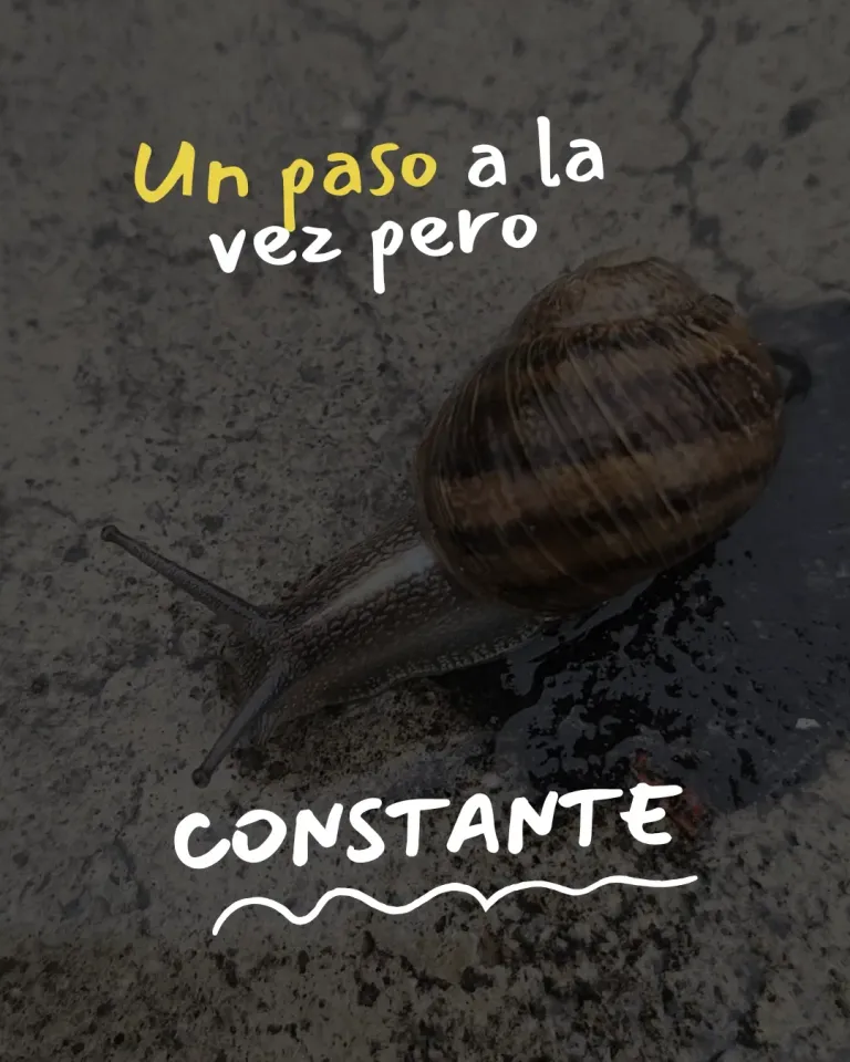 JX6lZDvOUPaIPccX_Los_cierres_son_tan_mgicos_como_las_estrellas_antes_de_chocar.webp