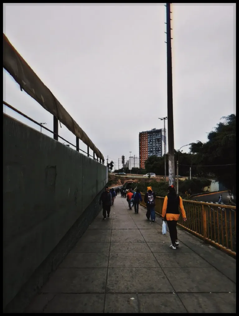 bumkWjx6KvdBdSS5_1000146800.webp