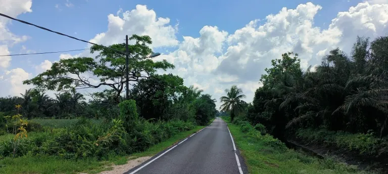 MgAL9ngrozUYxPRr_1000379809.webp
