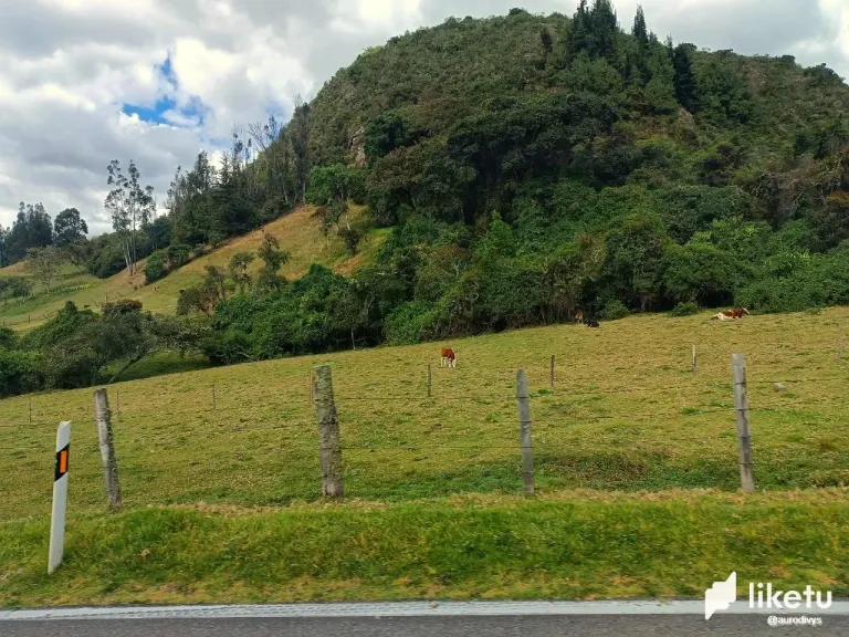 8THxZpTuKQDmwyrk_photo_2024-09-19_16-42-46.webp