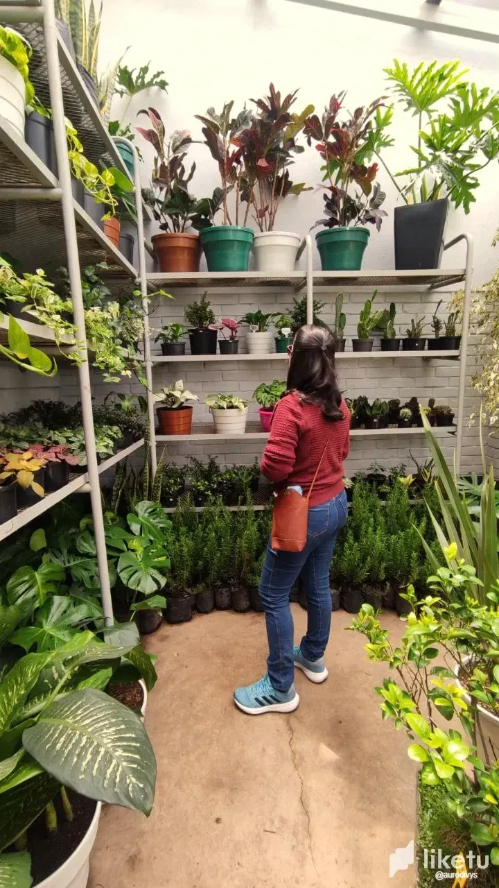 hgqgGwIJkHfWVtG2_photo_2024-11-23_18-42-25.webp
