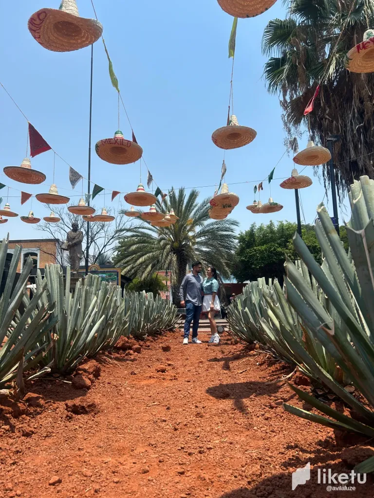 [Eng/Esp] My Beautiful Tequila: A Place I’m Proud to Call Home 🌵📸 Mi Querido Tequila: Orgullosa de Mi Tierra