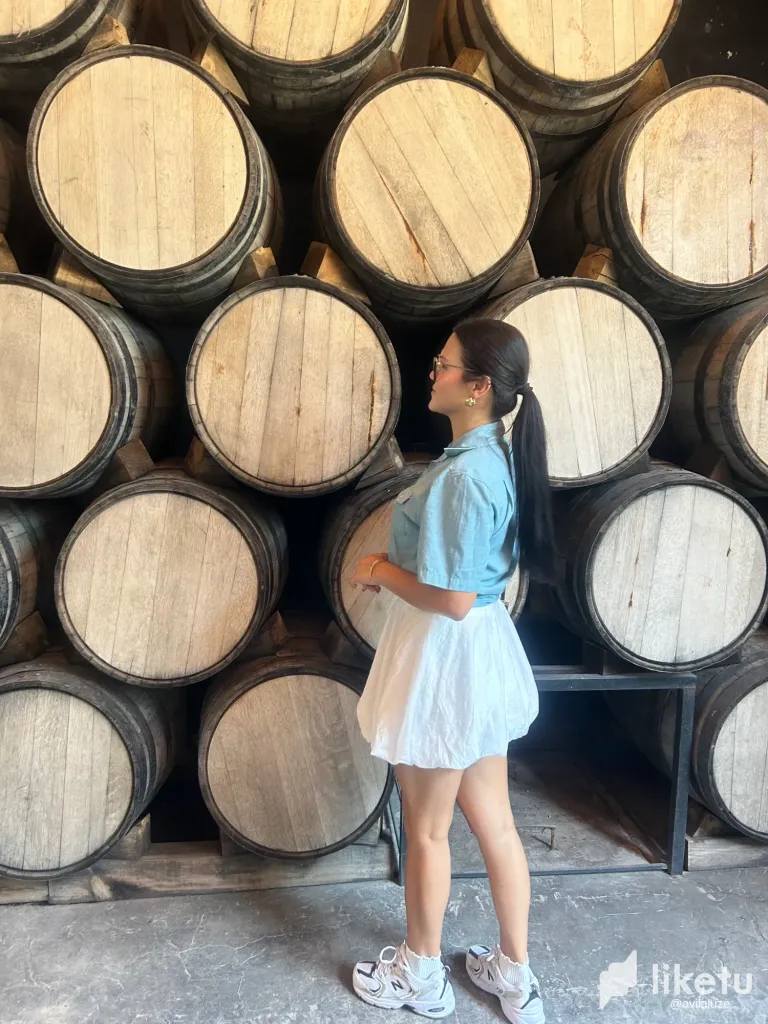 [Eng/Esp] Visiting the Heart of Tequila Production 🌵🥃 Visita a la Tequilera: Donde Nace el Buen Tequila 🌵🥃