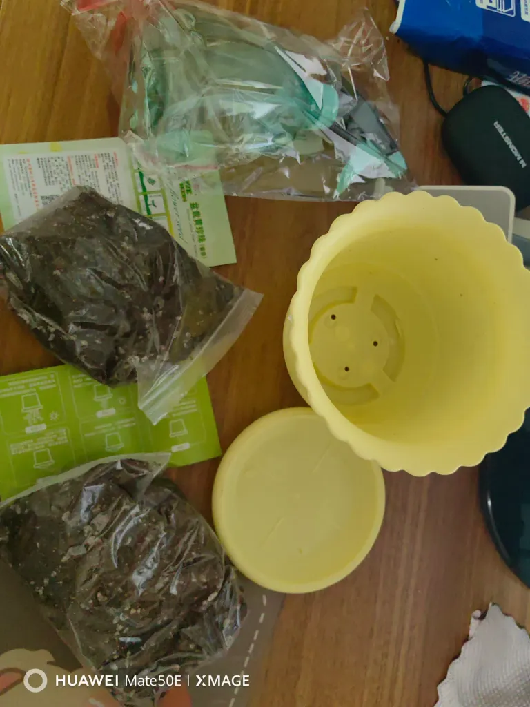 OjTTaNZr8TZdZCZG_IMG_20250307_201144.jpg